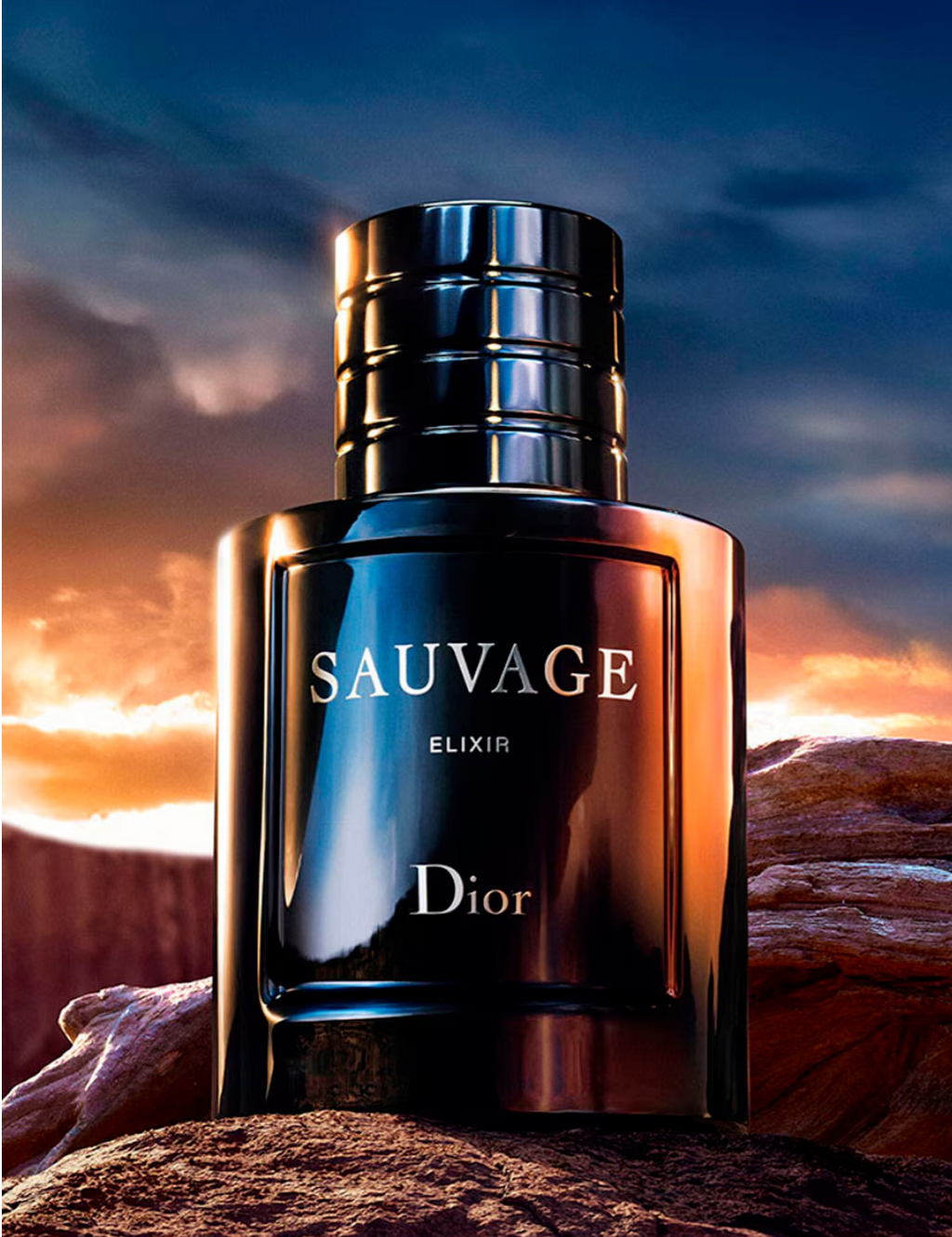 C DIOR SUAVAGE ELIXIR