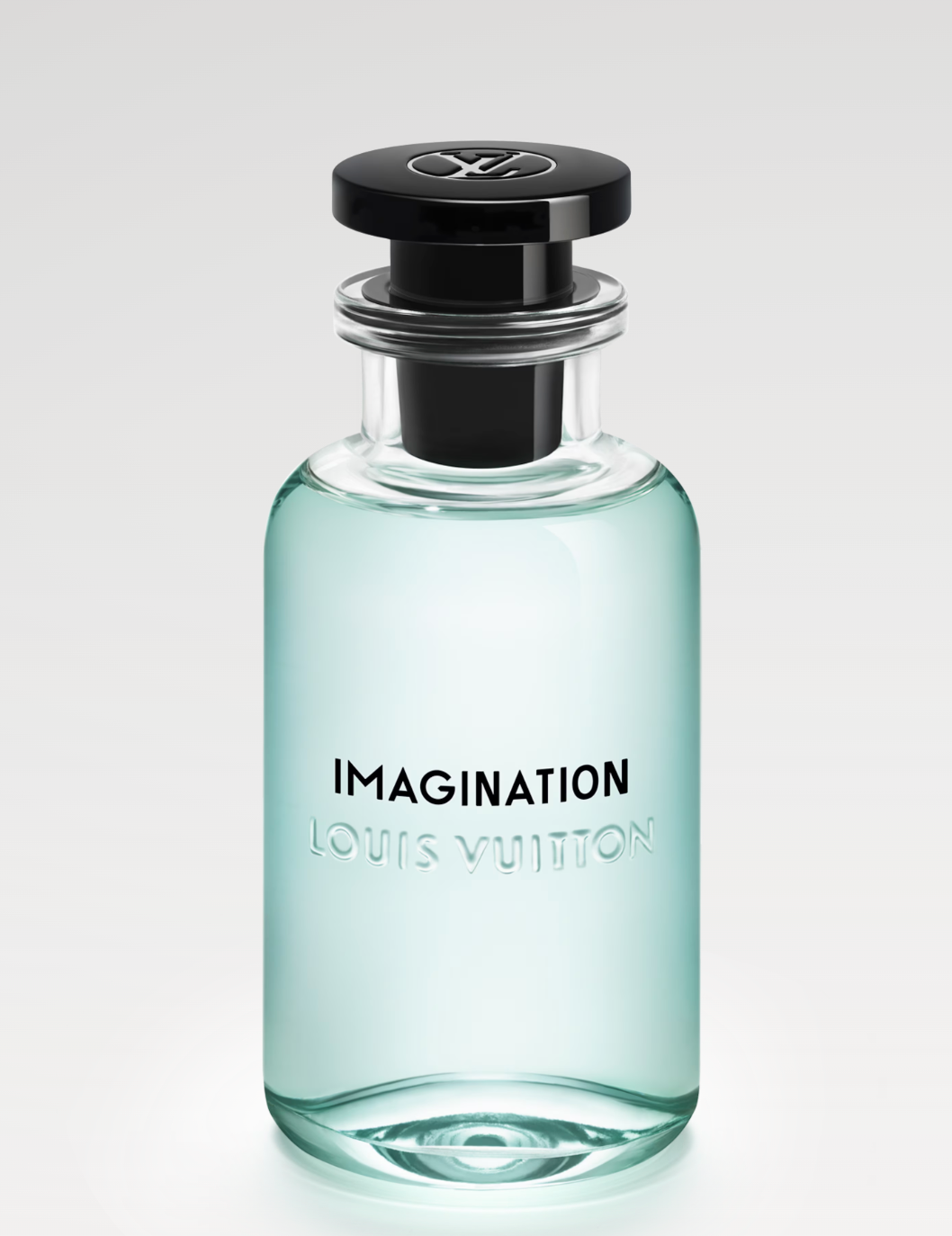 LOIUS VIUTTON IMAGINATION